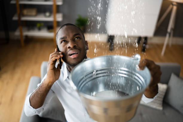 Best 24-hour water damage restoration  in Boonville, IN
