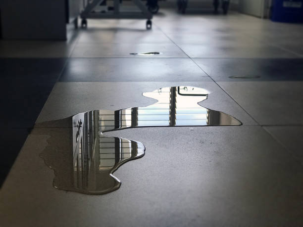 Best Water damage cleanup near me  in Boonville, IN