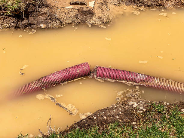 Best Flood restoration services  in Boonville, IN