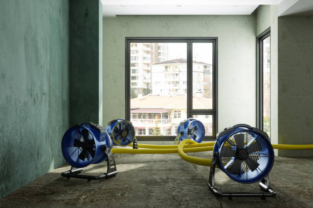 Best Water damage restoration near me  in Boonville, IN